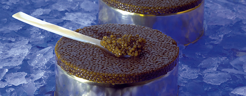 Caviar Perle Noire - Le monde de l'épicerie fine